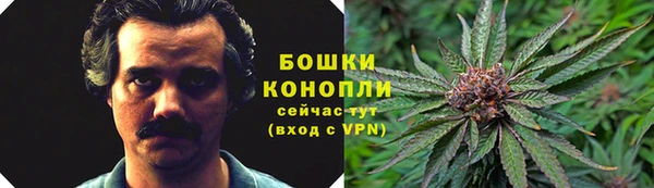 винт Абаза