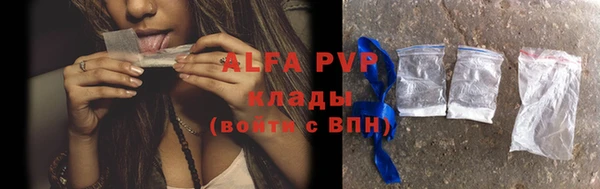 винт Абаза