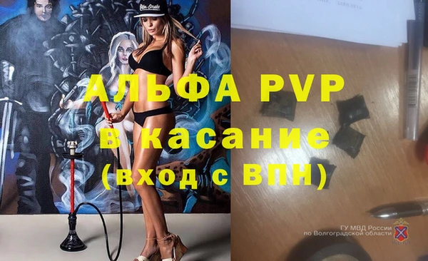 винт Абаза