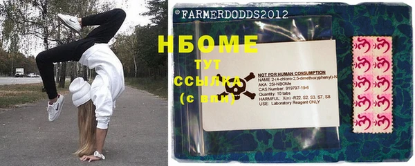 прущие грибы Абдулино