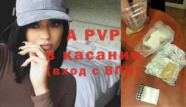 прущие грибы Абдулино