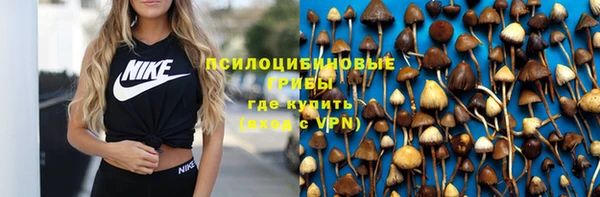 прущие грибы Абдулино